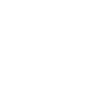 white medal logo